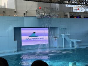 シーパラダイス